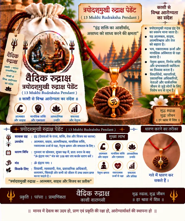 13_Mukhi_Rudraksha_Pendant