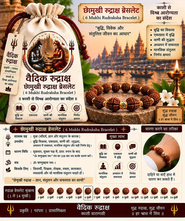 Brown_Rudraksha_Six_Mukhi_Bracelet_For_Devotional_Wear