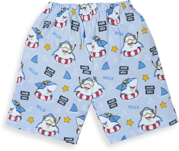 Blue_Cotton_Printed_T-Shirt_Shorts_Set_For_Baby_Boys