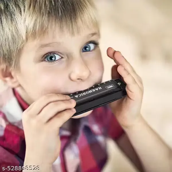 Black_10_Hole_Harmonica_With_Protective_Case