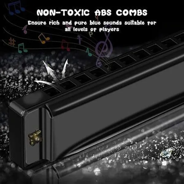 Black_10_Hole_Harmonica_With_Protective_Case