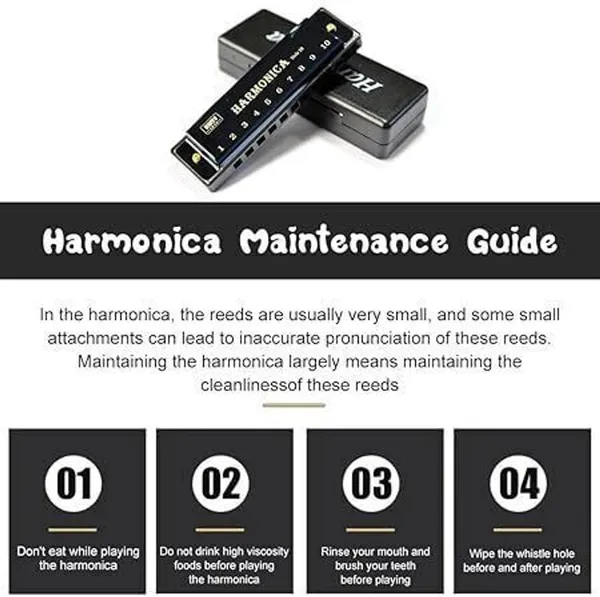 Black_10_Hole_Harmonica_With_Protective_Case