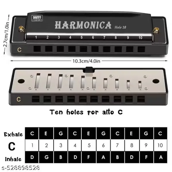Black_10_Hole_Harmonica_With_Protective_Case