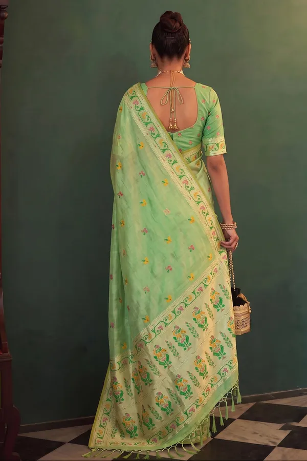 Mint_Green_Chanderi_Organza_Saree_With_Minakari_Zari_Border_Default_Title