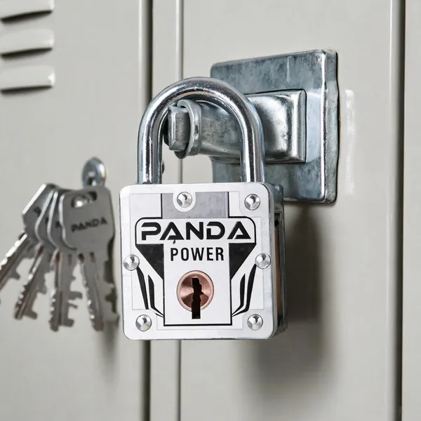Nivaz_Panda_Power_Silver_Iron_Padlock_With_4_Keys_Pack_Of_3