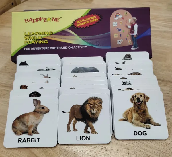 Animal_Magnetic_Flash_Cards