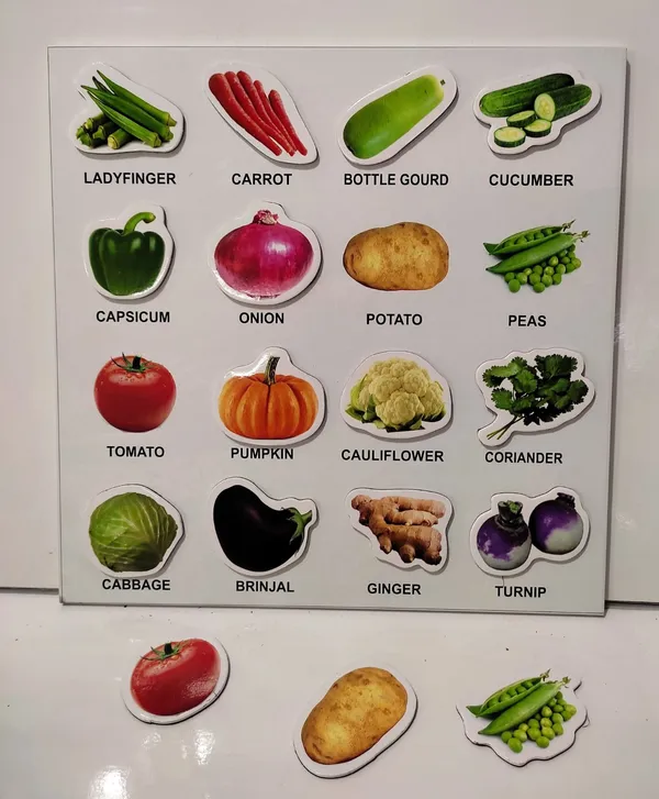 Vegetables_magnatic_try