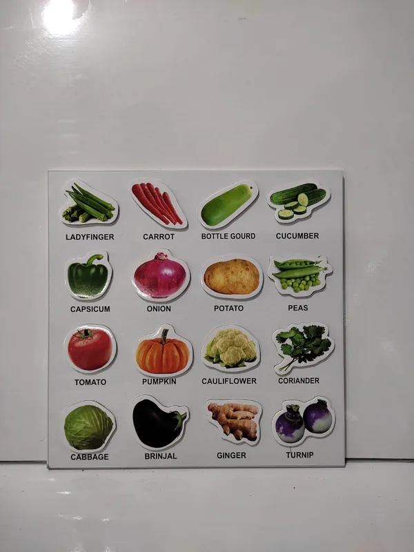 Vegetables_magnatic_try