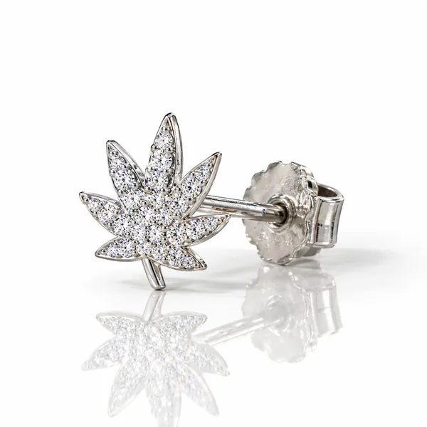 Silver_Tone_Crystal_Leaf_Stud_Earring_For_Men