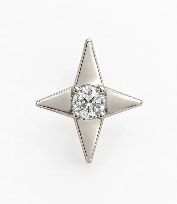 Silver_Tone_Star_Stud_Earring_For_Unisex