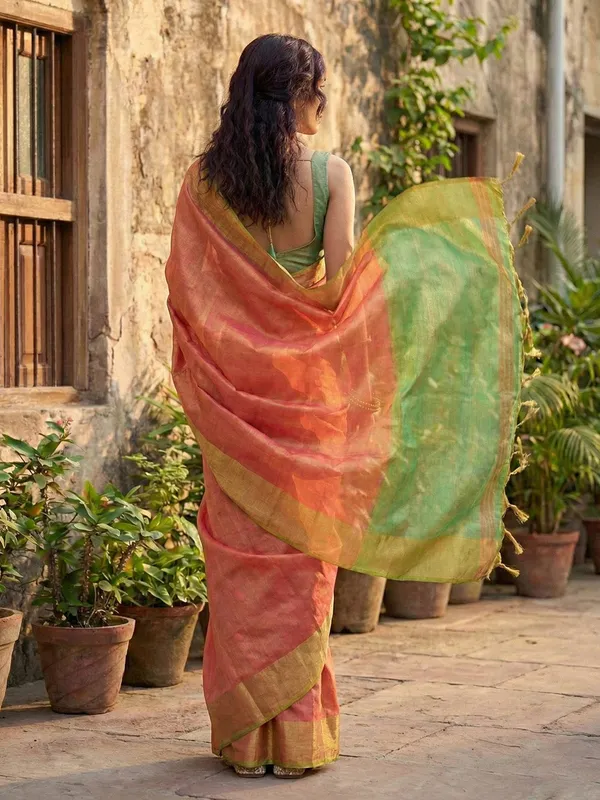 Coral_Peach_Green_Tissue_Silk_Contrast_Border_Saree_For_Women
