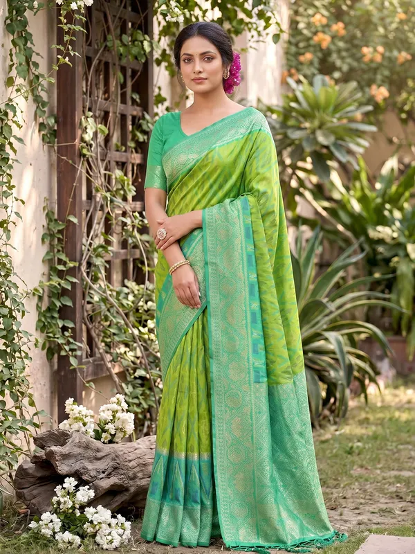 Light_Green_Pochampalli_Silk_Ikkat_Saree_For_Women