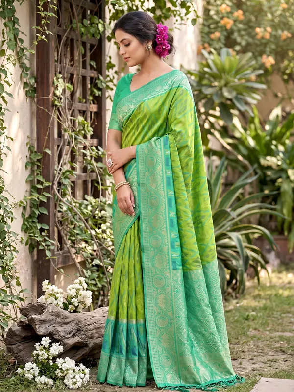 Light_Green_Pochampalli_Silk_Ikkat_Saree_For_Women
