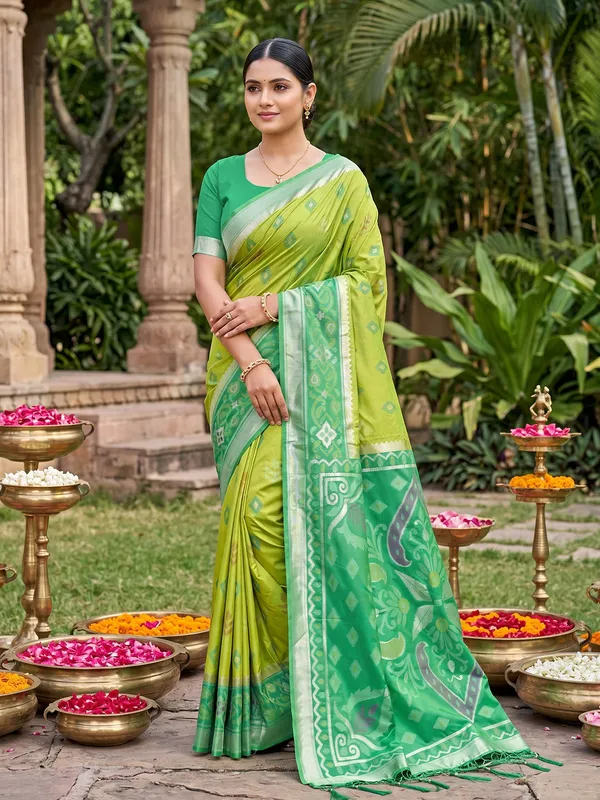 Light_Green_Silk_Pochampalli_Ikkat_Saree_For_Women