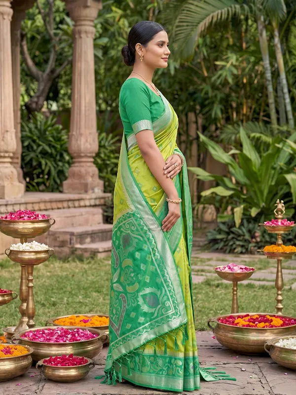 Light_Green_Silk_Pochampalli_Ikkat_Saree_For_Women