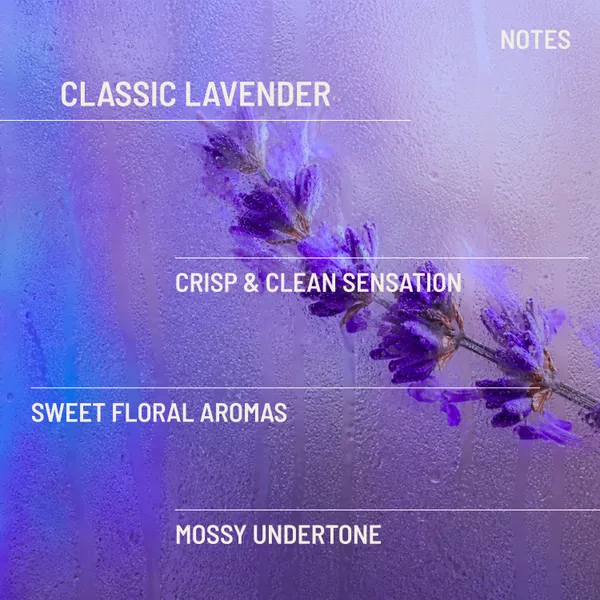 Neuur_Lavender_Ritual_Incense_Sticks