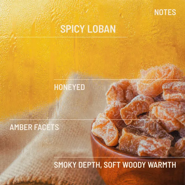 Neuur_Loban_Sol_Incense_Sticks
