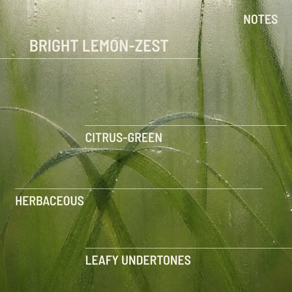 Lemongrass_Sol_Incense_Sticks