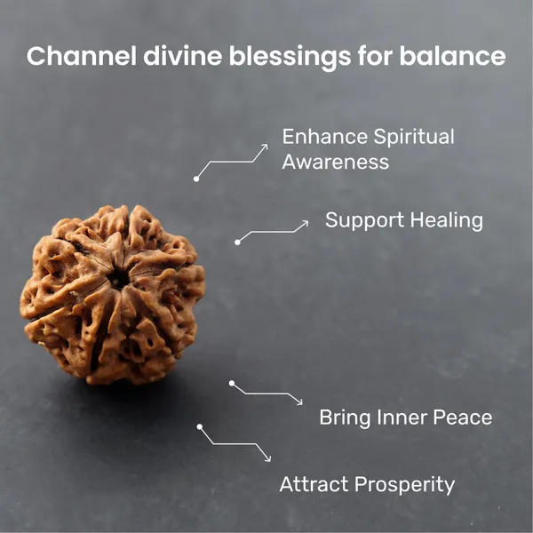 6_Mukhi_Rudraksha_Energized_Spiritual_Bead_Nepal_Default_Title