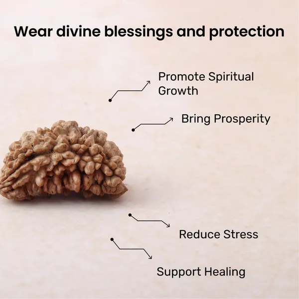 Siddh_1_Mukhi_Rudraksha_Energized_Spiritual_Bead_Nepal_Default_Title