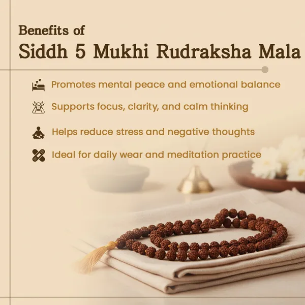 Siddh_5_Mukhi_Rudraksha_Mala_108_Beads_8mm_Default_Title