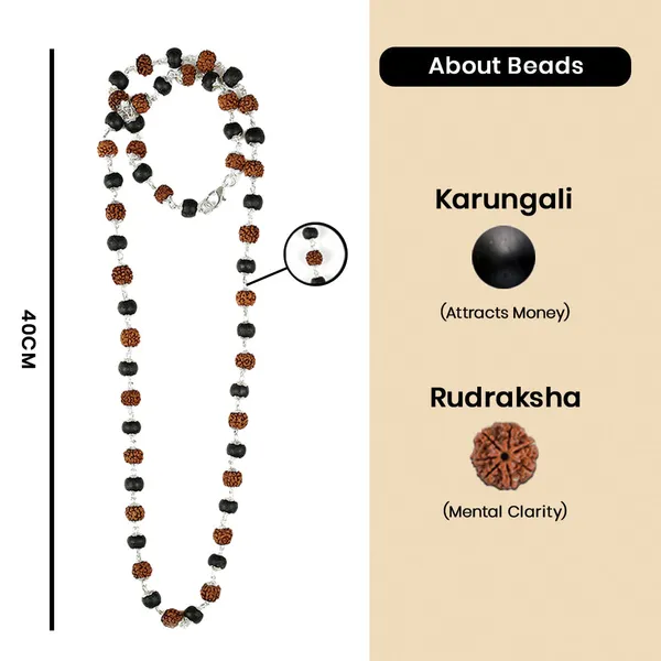 Rudraksha_Karungali_Mala_54_Beads_8mm_Spiritual_Necklace_Default_Title