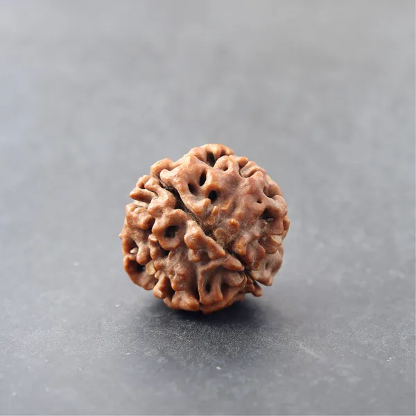 Siddh_4_Mukhi_Rudraksha_Bead_Energized_Indonesia_Default_Title