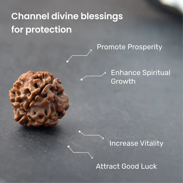 Siddh_4_Mukhi_Rudraksha_Bead_Energized_Indonesia_Default_Title
