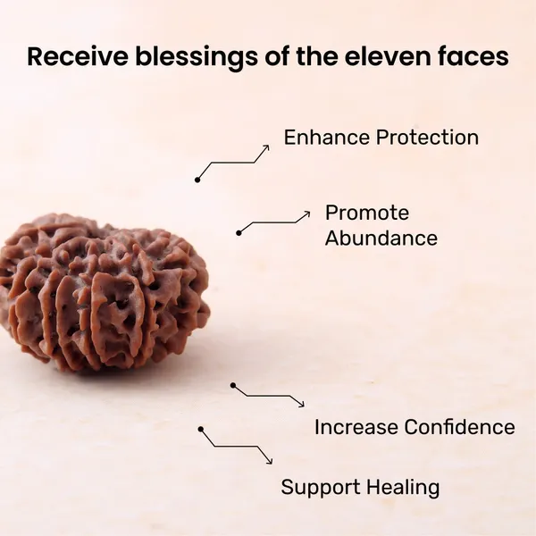 Siddh_11_Mukhi_Rudraksha_Energized_Sacred_Prayer_Bead_Indonesia_Default_Title