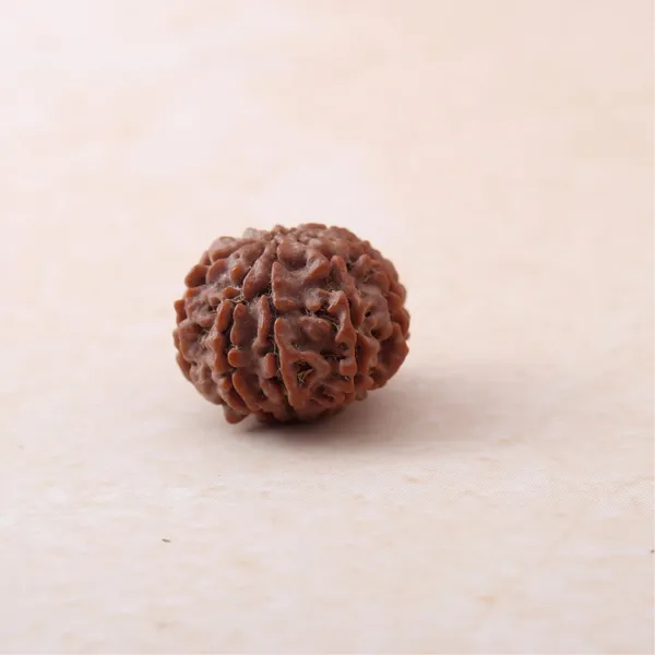 9_Mukhi_Rudraksha_Energized_Spiritual_Bead_Indonesia_Default_Title