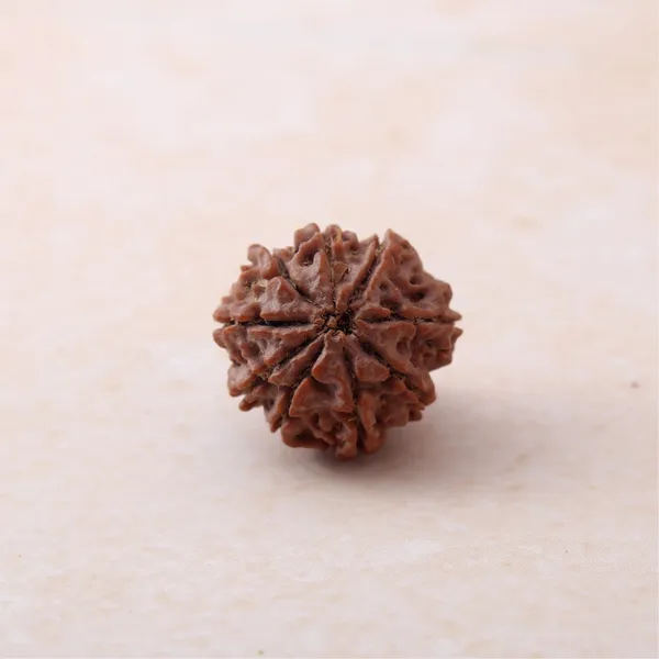 9_Mukhi_Rudraksha_Energized_Spiritual_Bead_Indonesia_Default_Title