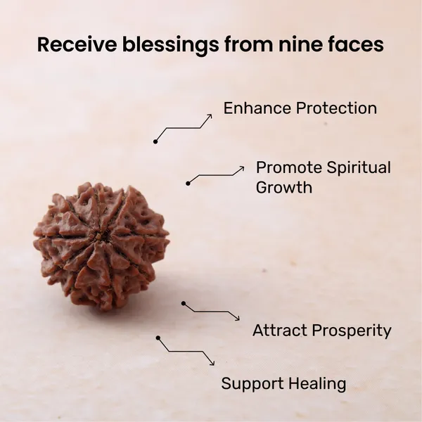 9_Mukhi_Rudraksha_Energized_Spiritual_Bead_Indonesia_Default_Title