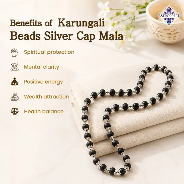 Astropreet_Silver_Capping_Karungali_Mala_54_Beads_Natural_Ebony_Wood_Mala_Free_Shiv_Nandi_Karungali_Pendent_Default_Title