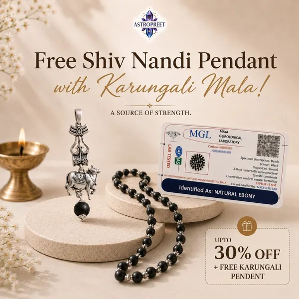 Astropreet_Silver_Capping_Karungali_Mala_54_Beads_Natural_Ebony_Wood_Mala_Free_Shiv_Nandi_Karungali_Pendent_Default_Title