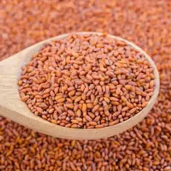 Halim_Seeds
