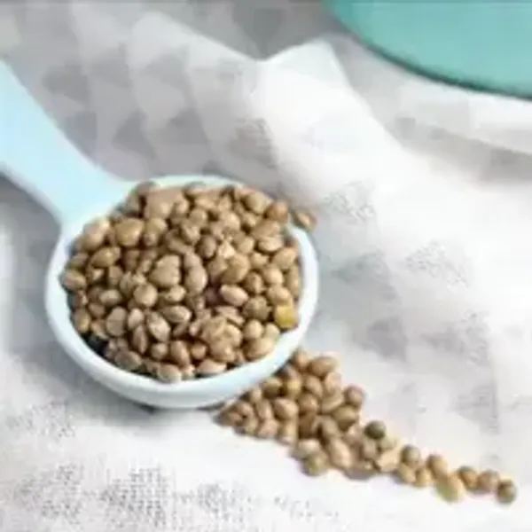 Hemp_Seeds_200_Gm