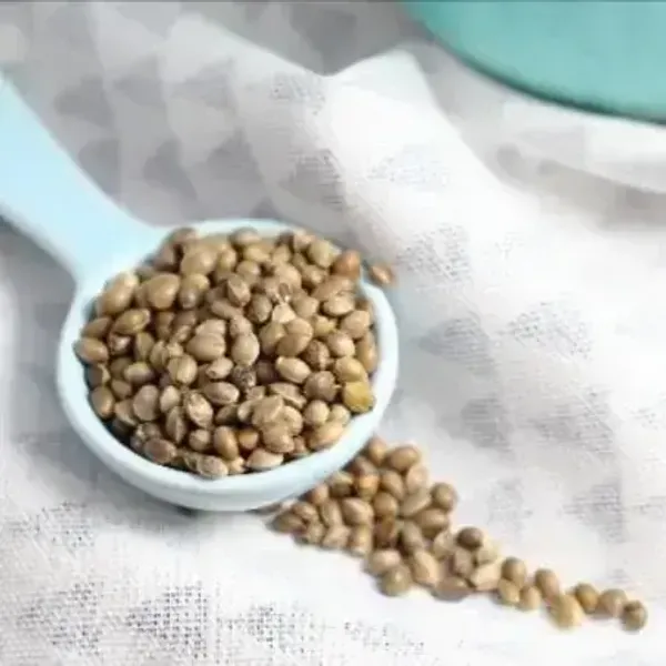 Hemp_Seeds_200_Gm
