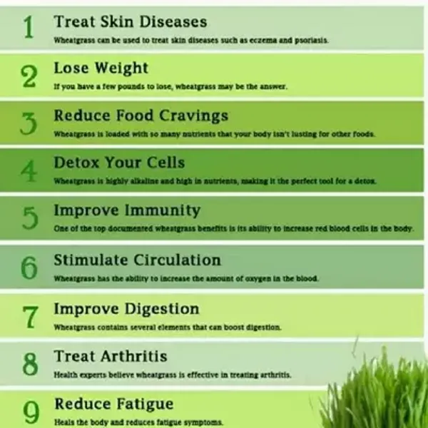 Wheat_Grass_Power_200_Gms