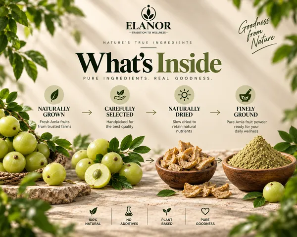 Elanor_Amla_Fruit_Powder