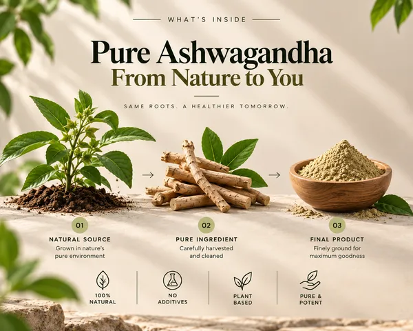 Elanor_Ashwagandha_Root_Powder