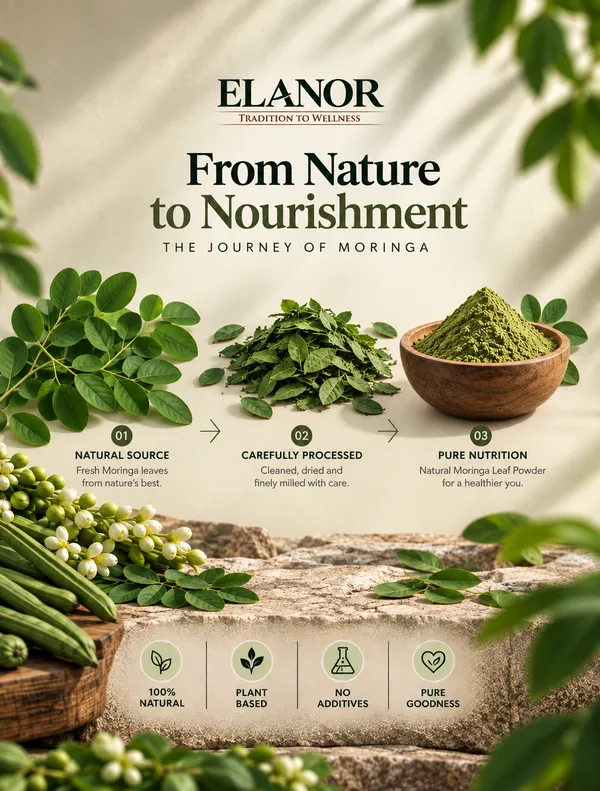 Elanor_Moringa_Leaf_Powder