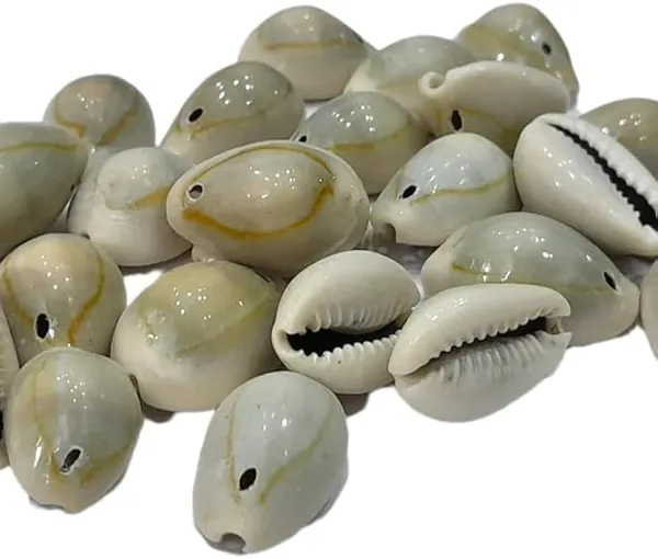 Beige_Natural_Pre-Drilled_Cowrie_Shell_Beads_For_Jewelry_Making