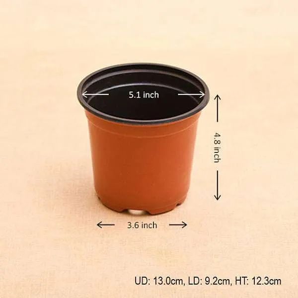 Plastic_Thermoformed_Drainage_Hole_Flower_Pot_(Pack_Of_20)