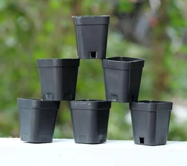 Plastic_Gardening_3_Inch_Nursery_Pots_With_Drainage_Set_Of_10