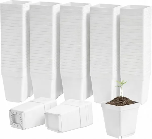 Plastic_Gardening_3_Inch_White_Nursery_Pots_With_Drainage_Set_Of_10