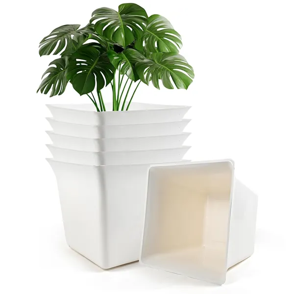 Plastic_Gardening_3_Inch_White_Nursery_Pots_With_Drainage_Set_Of_10