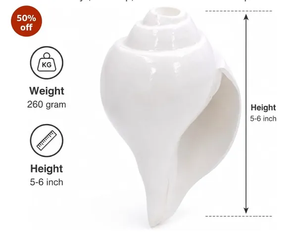 White_Shankh_-_Original__Conch_Shell__6_inchs__vishnu_shankh_for_puj,worship,home_and_office_temple