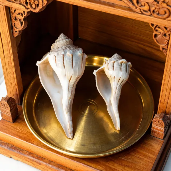 Natural_Religious_Dakhinbarti_puja_sankha