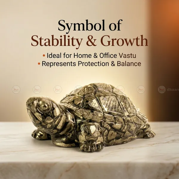 Pyrite_Tortoise