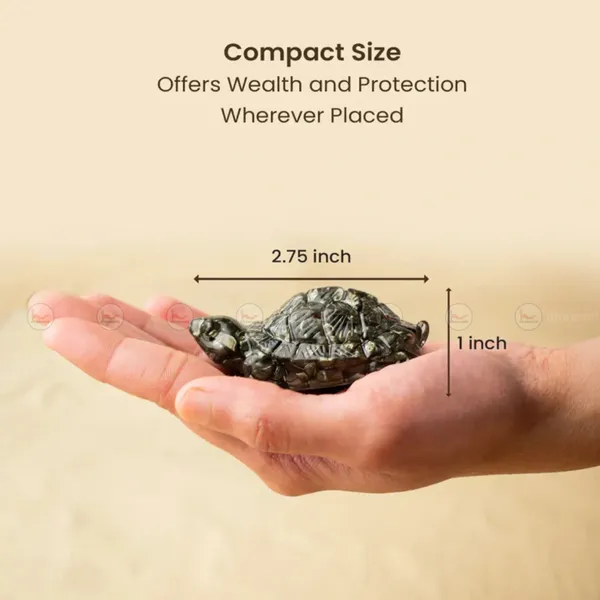 Pyrite_Tortoise